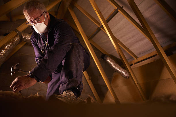Best Insulation Maintenance and Repair in Buckner, KY